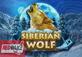 Siberian Wolf